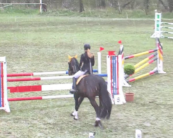 Reitturnier Heide-Hochfeld 2016