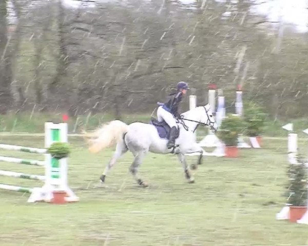 Reitturnier Heide-Hochfeld 2016