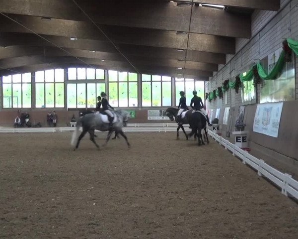 Reitturnier Leverkusen-Rheindorf 2016