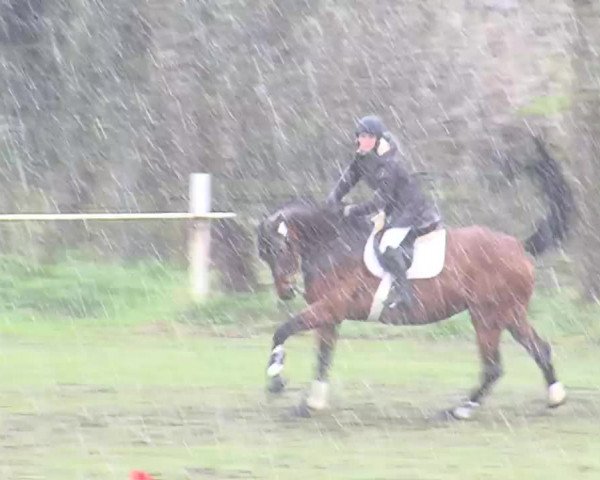 Reitturnier Heide-Hochfeld 2016