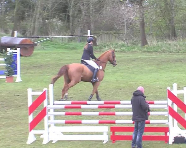 Reitturnier Heide-Hochfeld 2016