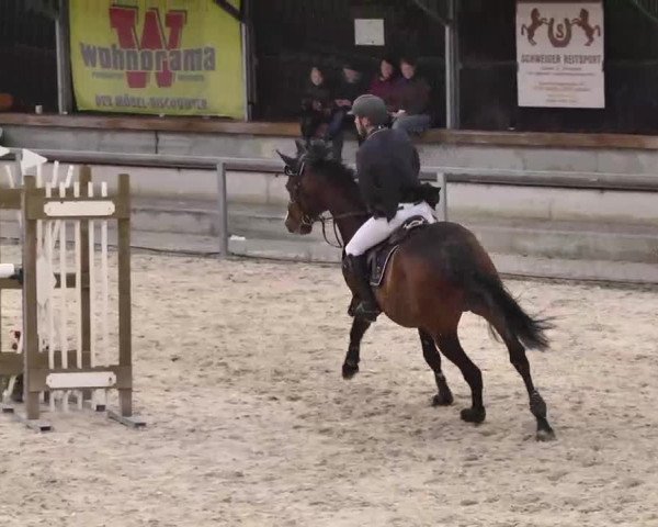 Frühjahrs-Reitturnier Ingolstadt-Hagau 2016