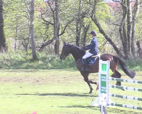 Reitturnier Heide-Hochfeld 2016