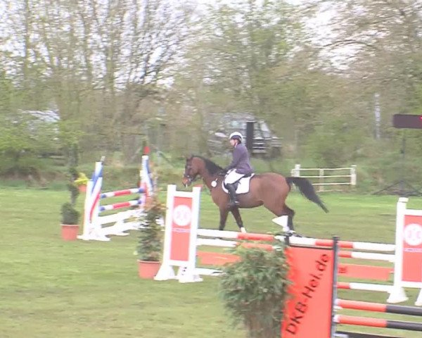Reitturnier Heide-Hochfeld 2016