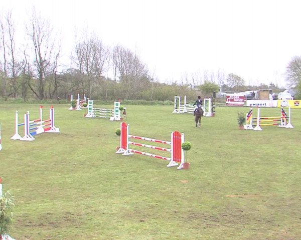 Reitturnier Heide-Hochfeld 2016