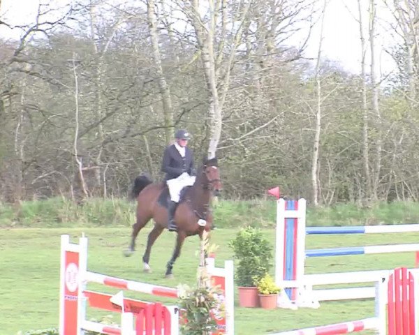Reitturnier Heide-Hochfeld 2016