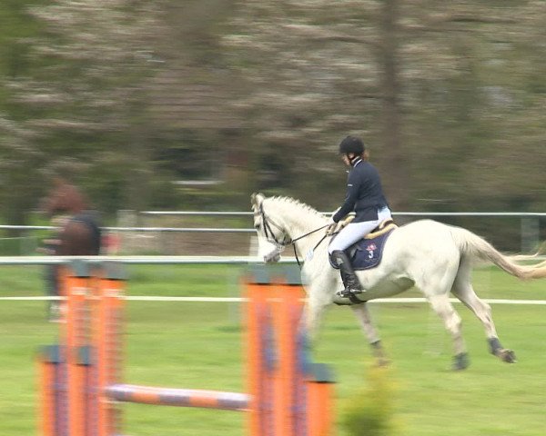 Springturnier Wildeshausen 2016