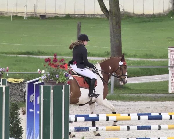Frühjahrs-Reitturnier Ingolstadt-Hagau 2016