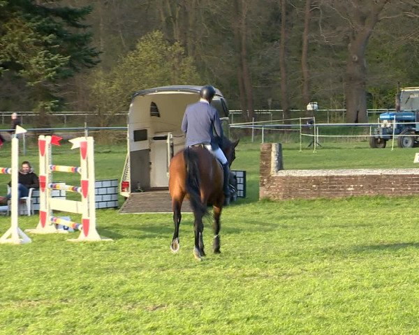 Springturnier Wildeshausen 2016