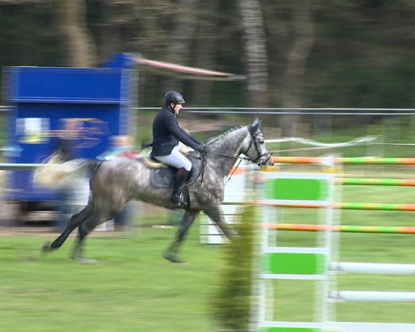 Springturnier Wildeshausen 2016