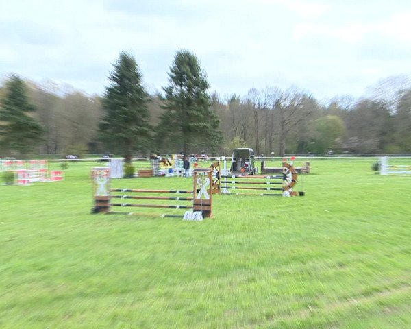 Springturnier Wildeshausen 2016