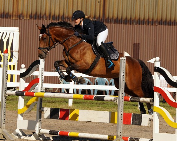 jumper Lovely Lulu H (Oldenburg, 2008, from Hh Linton)