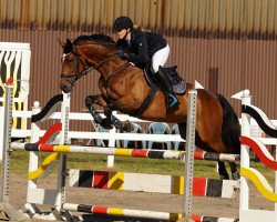 jumper Lovely Lulu H (Oldenburg, 2008, from Hh Linton)