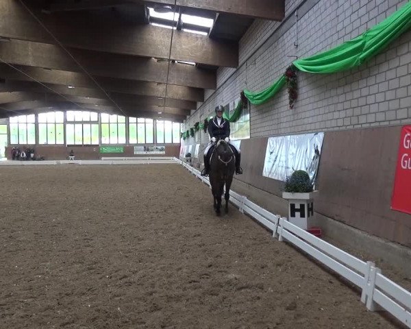 Reitturnier Leverkusen-Rheindorf 2016