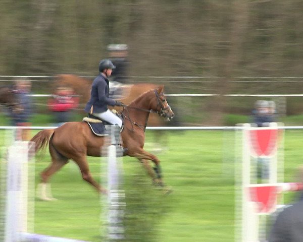 Springturnier Wildeshausen 2016