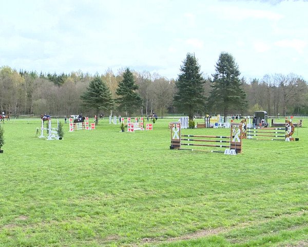 Springturnier Wildeshausen 2016