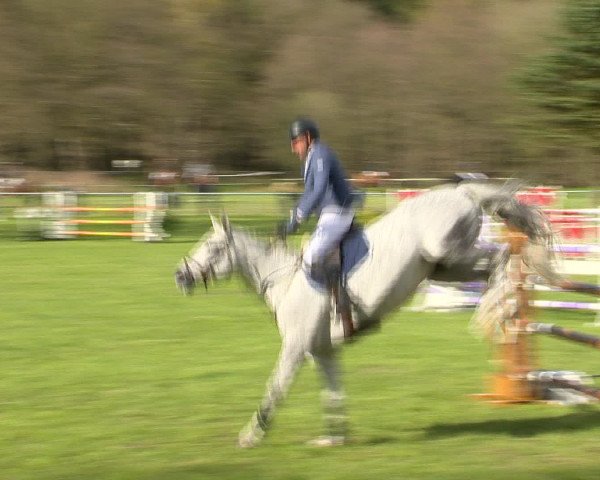 Springturnier Wildeshausen 2016