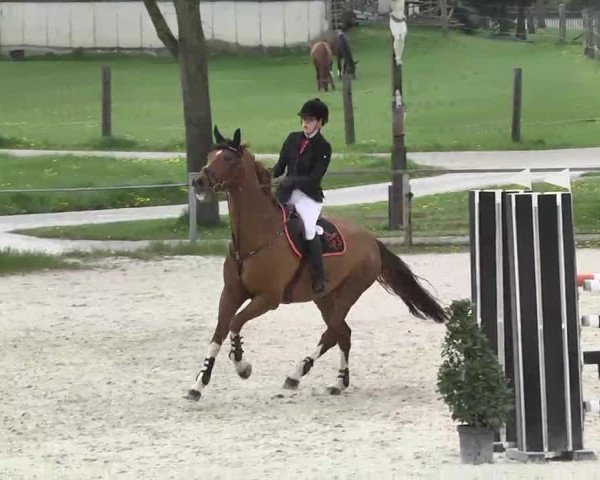 Frühjahrs-Reitturnier Ingolstadt-Hagau 2016