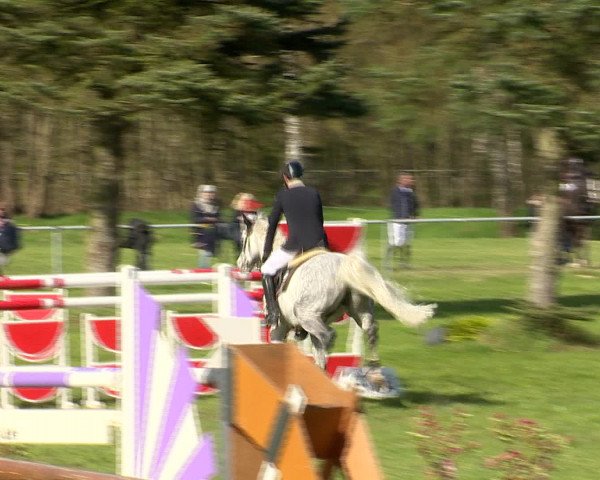 Springturnier Wildeshausen 2016