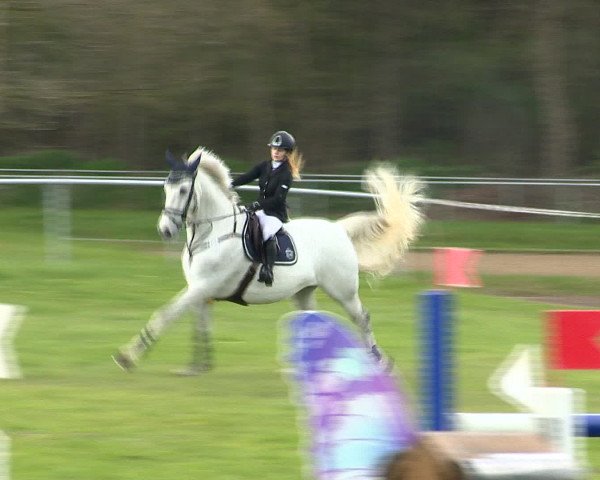 Springturnier Wildeshausen 2016