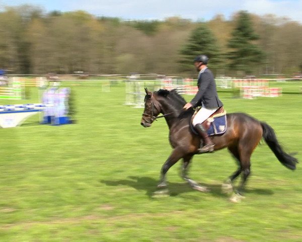 Springturnier Wildeshausen 2016