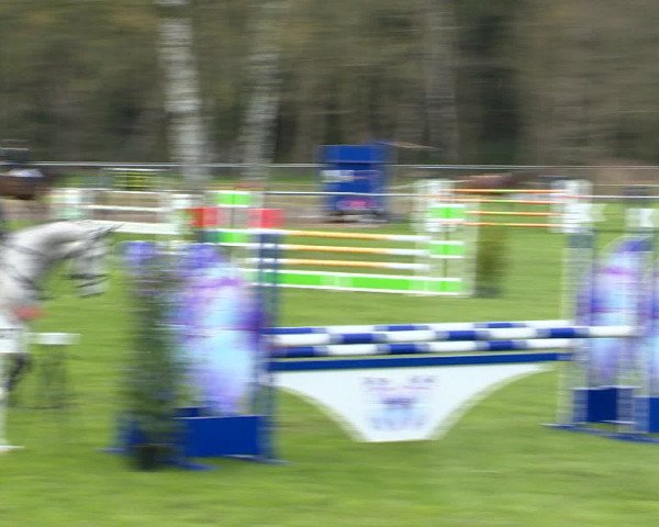 Springturnier Wildeshausen 2016