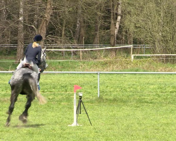 Springturnier Wildeshausen 2016