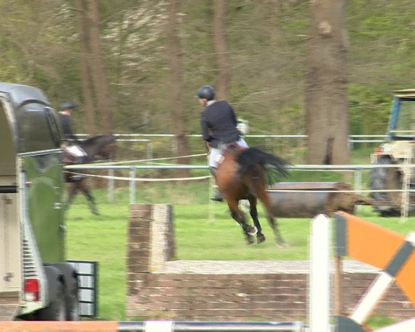 Springturnier Wildeshausen 2016