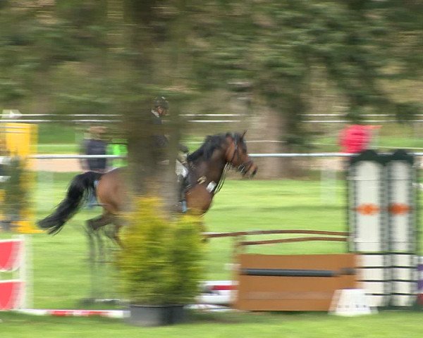 Springturnier Wildeshausen 2016