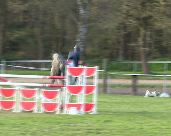 Springturnier Wildeshausen 2016