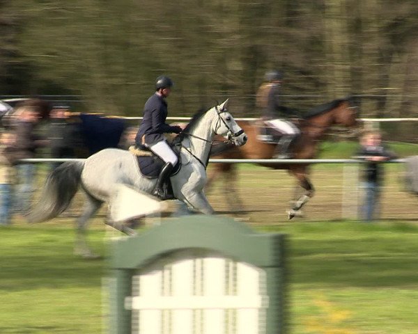 Springturnier Wildeshausen 2016