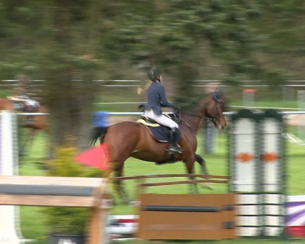 Springturnier Wildeshausen 2016