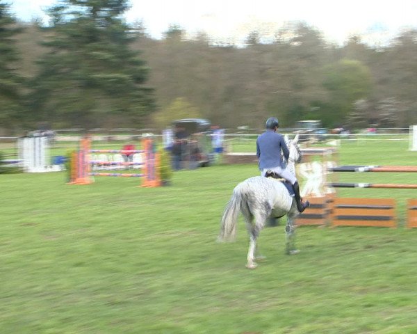 Springturnier Wildeshausen 2016