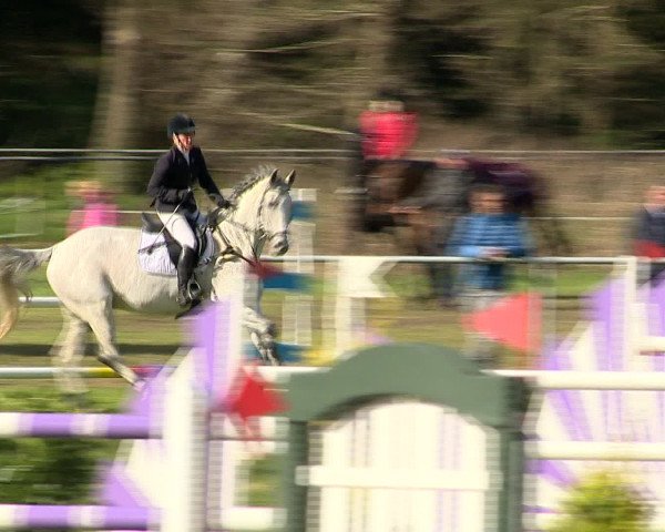 Springturnier Wildeshausen 2016