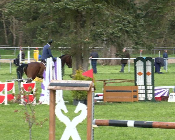 Springturnier Wildeshausen 2016