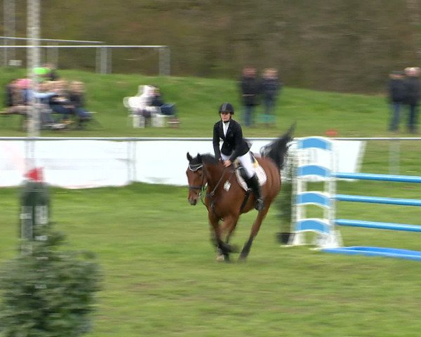 Springturnier Wildeshausen 2016