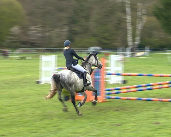 Springturnier Wildeshausen 2016