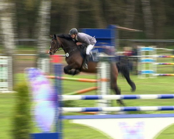 Springturnier Wildeshausen 2016