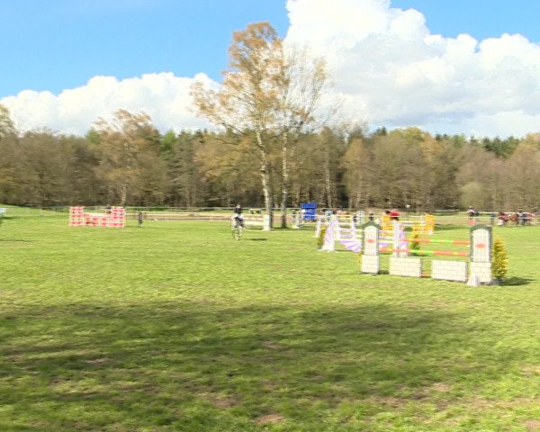 Springturnier Wildeshausen 2016