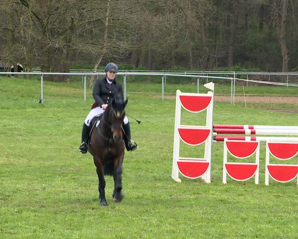 Springturnier Wildeshausen 2016