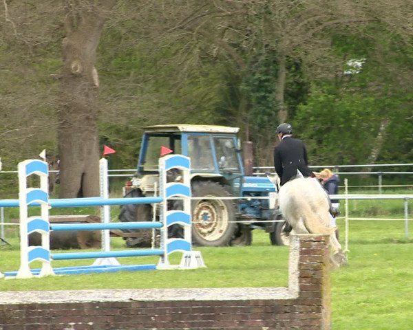 Springturnier Wildeshausen 2016