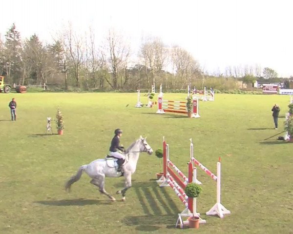 Reitturnier Heide-Hochfeld 2016