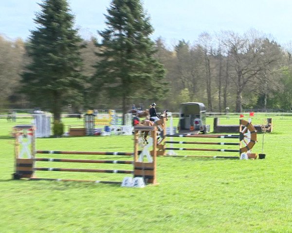 Springturnier Wildeshausen 2016