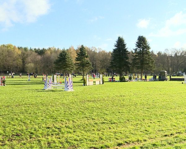 Springturnier Wildeshausen 2016