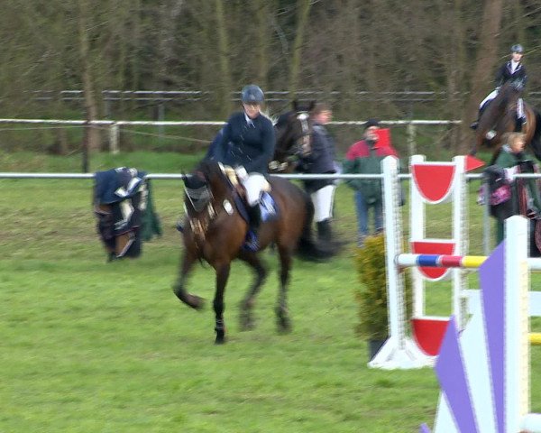 Springturnier Wildeshausen 2016