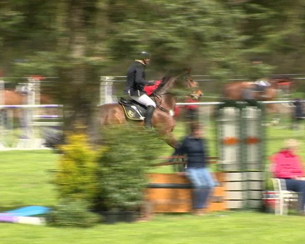 Springturnier Wildeshausen 2016