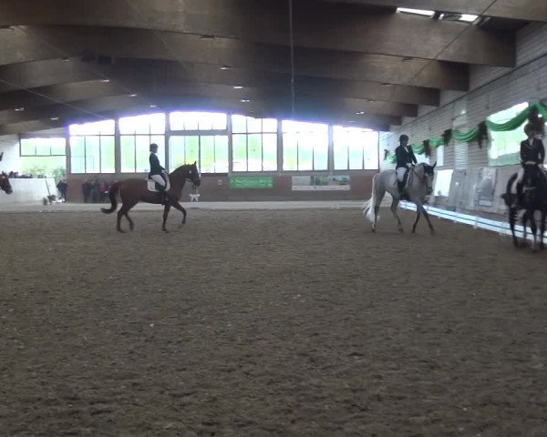 Reitturnier Leverkusen-Rheindorf 2016