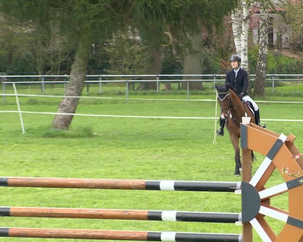 Springturnier Wildeshausen 2016