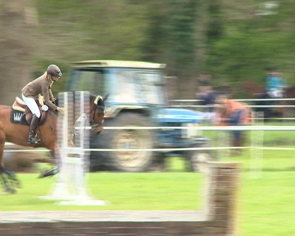 Springturnier Wildeshausen 2016