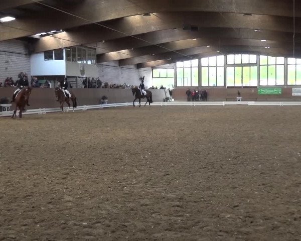 Reitturnier Leverkusen-Rheindorf 2016